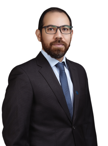 Dr. Mahmoud Al Sakka
